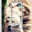 CUTE LUCKY PRAYING KITTY PUSSY CAT 1 GFCI LIGHT SWITCH PLATE ROOM HOME ART DECOR CUTE LUCKY PRAYING KITTY PUSSY CAT 1 GFCI LIGHT SWITCH PLATE ROOM HOME ART DECOR