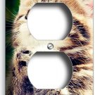 CUTE LUCKY PRAYING TABBY KITTY PUSSY CAT OUTLET WALL PLATE COVER ROOM HOME DECOR