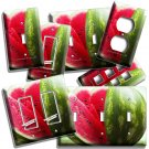 RED WATERMELON SLICES LIGHT SWITCH OUTLET WALL PLATES KITCHEN PANTRY ROOM DECOR RED WATERMELON SLICES LIGHT SWITCH OUTLET WALL PLATES KITCHEN PANTRY ROOM DECOR