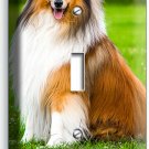 GORGEOUS ROUGH COLLIE DOG 1GANG LIGHT SWITCH WALL PLATE GROOMING PET SALON DECOR GORGEOUS ROUGH COLLIE DOG 1GANG LIGHT SWITCH WALL PLATE GROOMING PET SALON DECOR