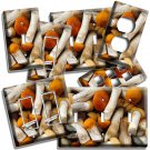 WILD FOREST MUSHROOMS LIGHT SWITCH OUTLET WALL PLATES KITCHEN DINING ROOM DECOR WILD FOREST MUSHROOMS LIGHT SWITCH OUTLET WALL PLATES KITCHEN DINING ROOM DECOR