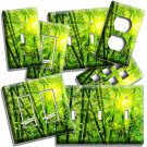 GREEN BAMBOO FOREST SUN FOR GOOD LUCK LIGHT SWITCH OUTLET WALL PLATES ROOM DECOR