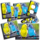 LOVE BIRDS YELLOW BLUE PARAKEETS LIGHT SWITCH OUTLET WALL PLATES PET SHOP DECOR LOVE BIRDS YELLOW BLUE PARAKEETS LIGHT SWITCH OUTLET WALL PLATES PET SHOP DECOR