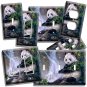 WILD PANDA BEAR BAMBOO WATERFALL NATURE LIGHT SWITCH OUTLET WALL PLATES ROOM ART