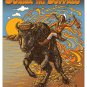 Donna the Buffalo 21-22 Tour Poster