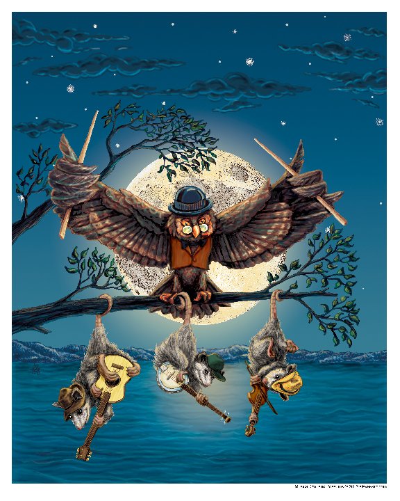 Musical Owl and Possums