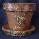 CLKpots9
