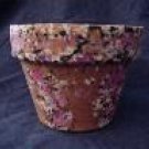 CLKpots14