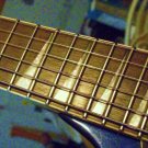 Rogue Electric Guitar 24 Fret Bound Rosewood SH-13 Dimebucker Licensed Floyd Rose