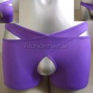 New Men's Sexy Stretch Boxer Underwear Purple Lingerie 2in1 #BX57