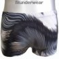New Men's Sexy Boxer Brief Underwear Image Print Lingerie #BX137