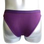 New Men's Sexy Brief Underwear C-Thru Purple Lingerie #BR101