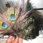 Peacock Costume