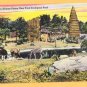 NEW YORK ZOOLOGOCAL PARK AFRICAN PLAINS New York City Postcard