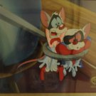Pinky and the brain original production cel signed and matching production drawing