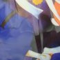 Natsume Yujin Cho Chou Yuki Midorikawa Nyanko Double Faced Clear File