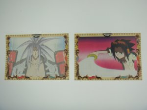 Japanese Shaman King Sticker x2 Takei Hiroyuki