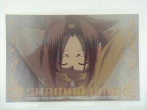 Japanese Shaman King Takei Hiroyuki Collection Card J004