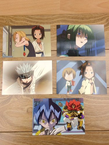 Japanese Anime Jump Shaman King Card x5 pages M005