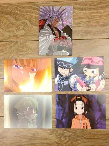Japanese Anime Jump Shaman King Card x5 pages M013