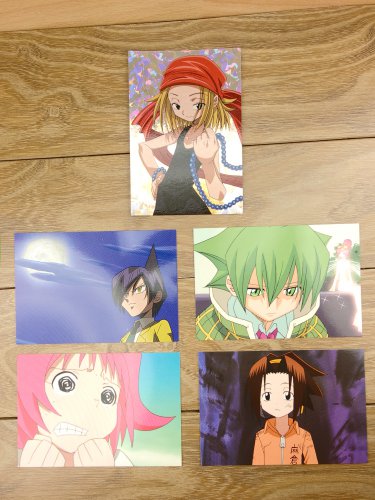 Japanese Anime Jump Shaman King Card x5 pages M017
