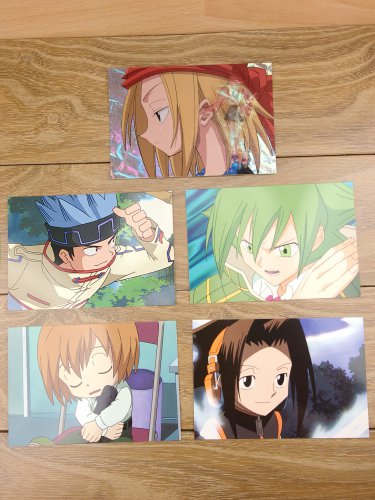Japanese Anime Jump Shaman King Card x5 pages M018