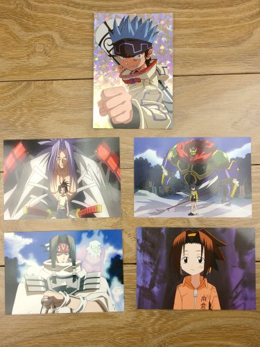 Japanese Anime Jump Shaman King Card x5 pages M027