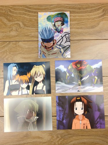 Japanese Anime Jump Shaman King Card x5 pages M031