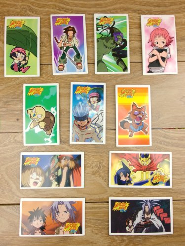 Japanese TOMY Shaman King Menko Megamen Card x11 pages N005