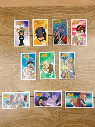 Japanese TOMY Shaman King Menko Megamen Card x10 pages N011