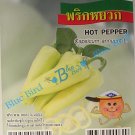 Light Green-Yellow Hot Pepper/ Mild Chili : Vegetable Seeds w S&H Free