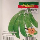 Garden Pea - Vegetable Seeds