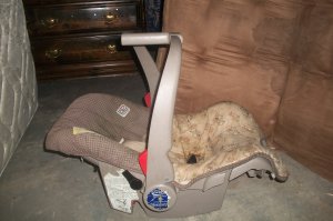graco infant seat