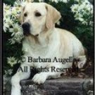Yellow Labrador Garden flag