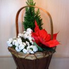 Christmas dish garden