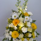 Sympathy_50