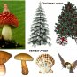 Huge Lot of Photography Props! Never Buy Another Prop! DVD for Photographers
