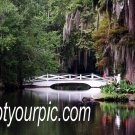 Magnolia Plantation Original Photography 11x14