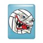 VICIOUS VOLLEYBALL | iPad case