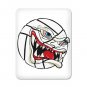 VICIOUS VOLLEYBALL | iPad case