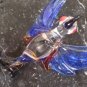 Humming Bird Hand Torched Hanging Ornamental Rasb&Cblt