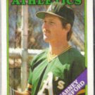 CARNEY LANSFORD 1988 Topps #292.  A's