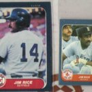 JIM RICE 1986 Fleer #358 + Mini #76.  RED SOX
