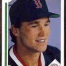 TIM NAEHRING 1991 Upper Deck #527.  RED SOX