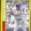 RON SANTO 1990 Impel Swell Greats #81.  CUBS