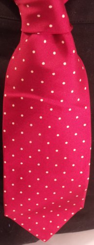 100% SILK TIE