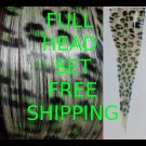 Clip in Hair Extensions 8 Piece SET 18" Green Leopard Print SCENE