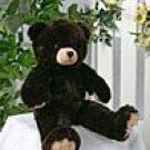 Coco Bear that sings your child's name!