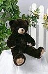 Coco Bear that sings your child's name!