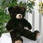 Coco Bear that sings your child's name!